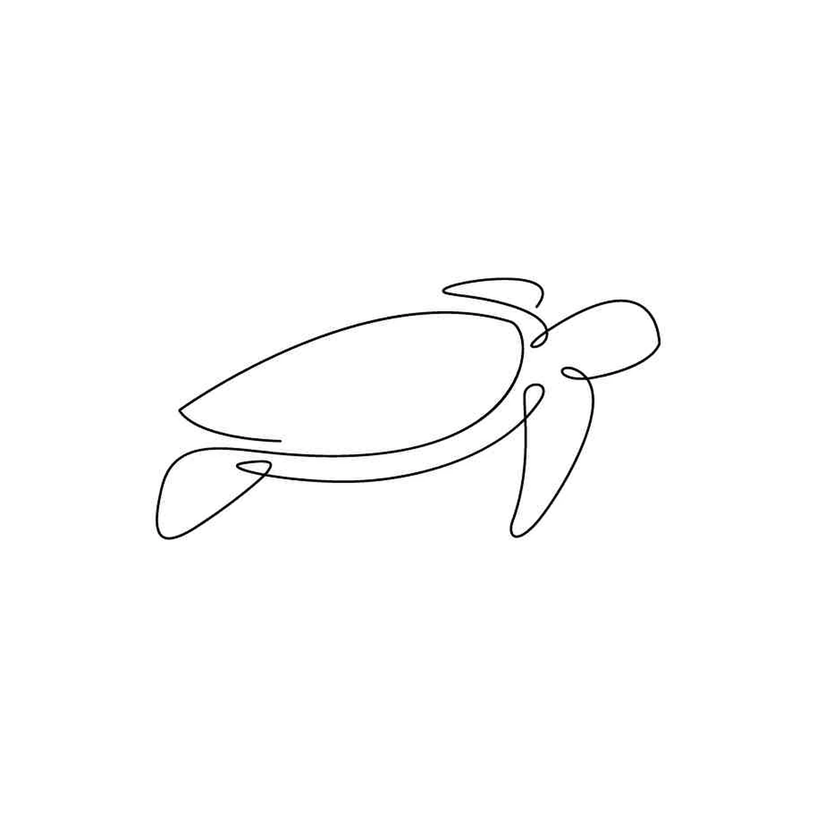 Minimalist Turtle Line Art Wall Art
