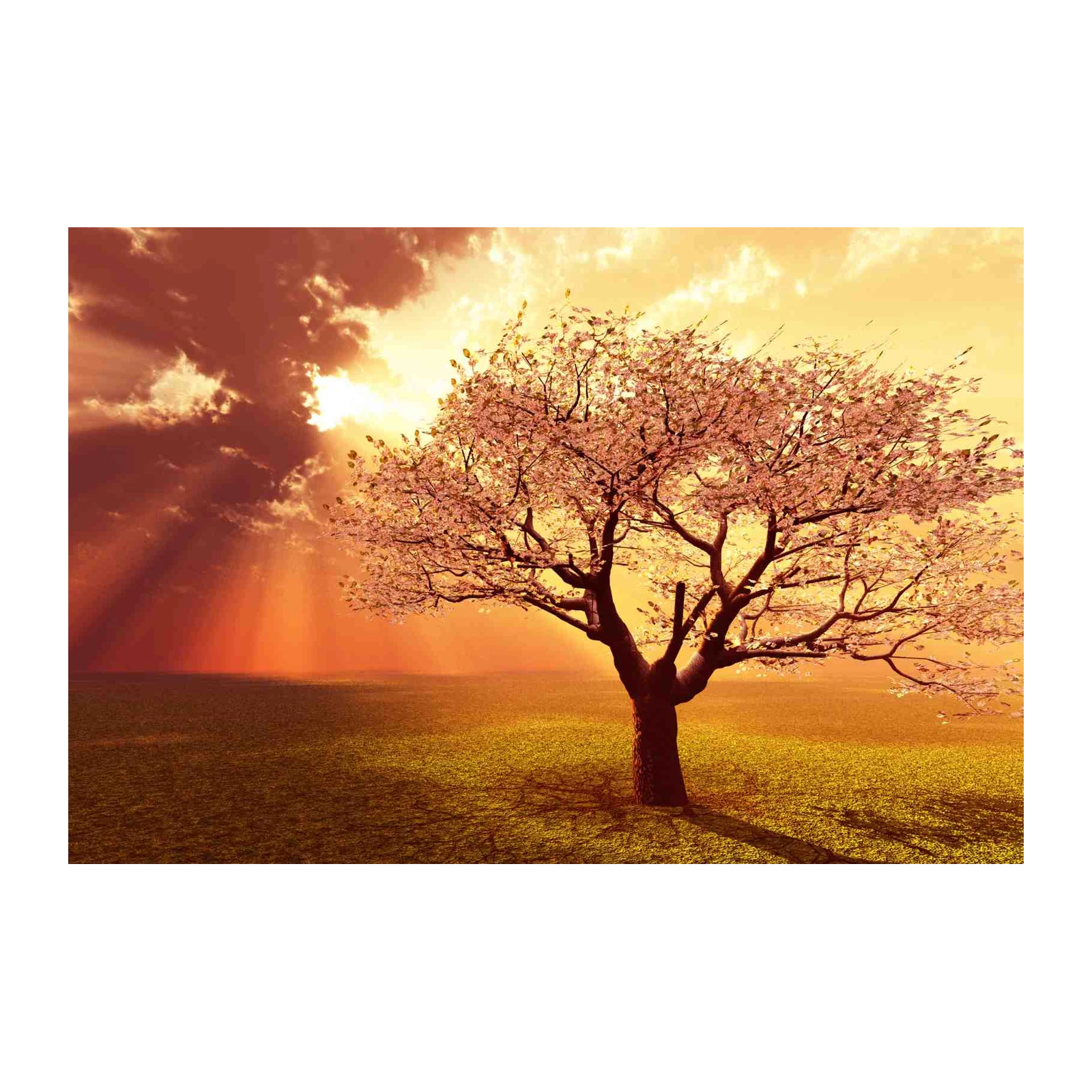 Serene Sunset Cherry Blossom Tree Wall Art