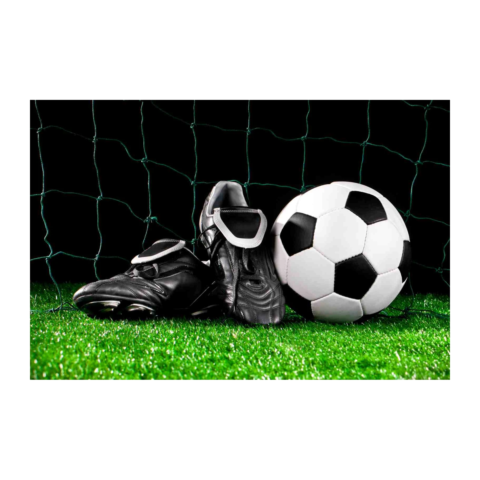 Soccer Ball & Cleats Goal Net Wall Art