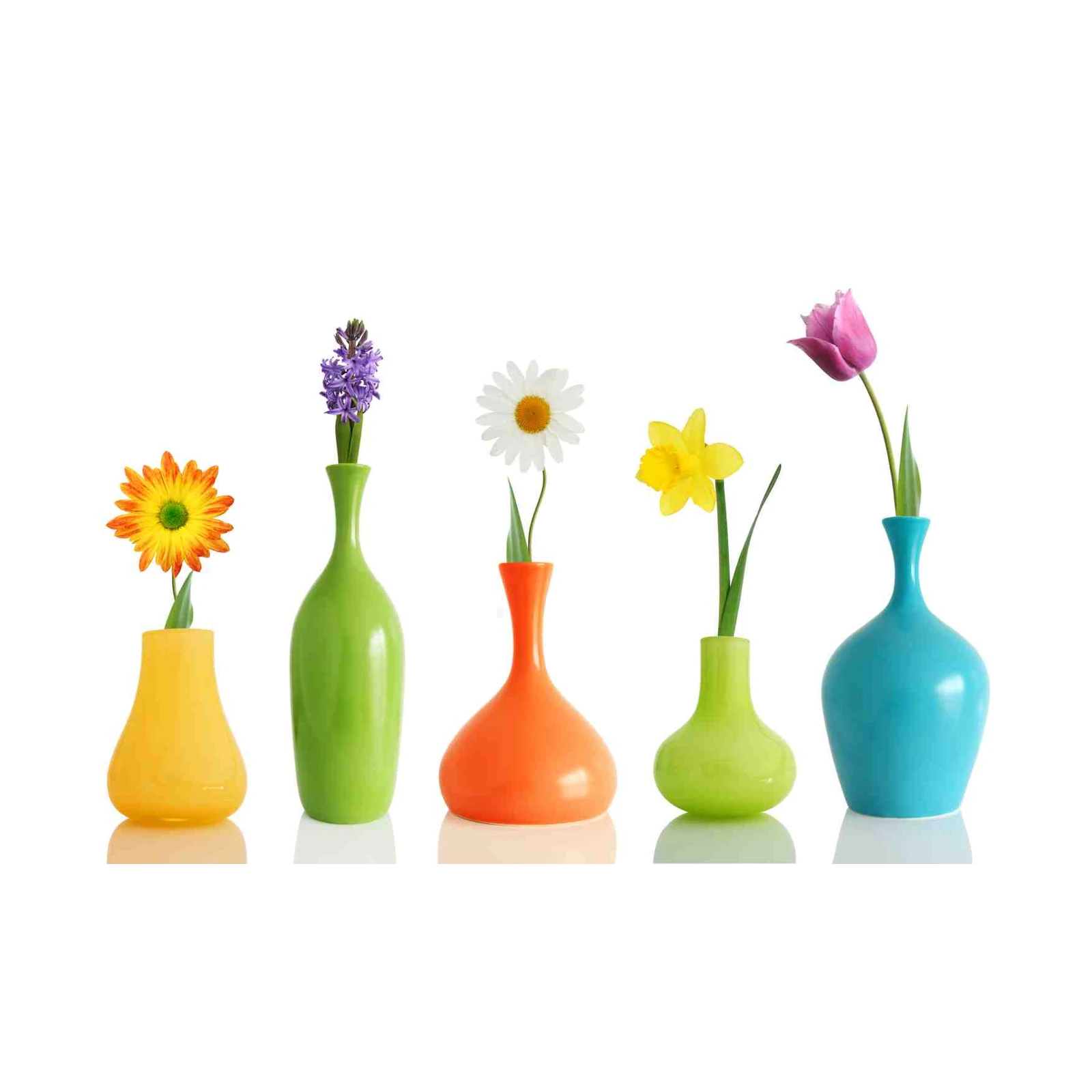 Vibrant Spring Flower Vases Wall Art