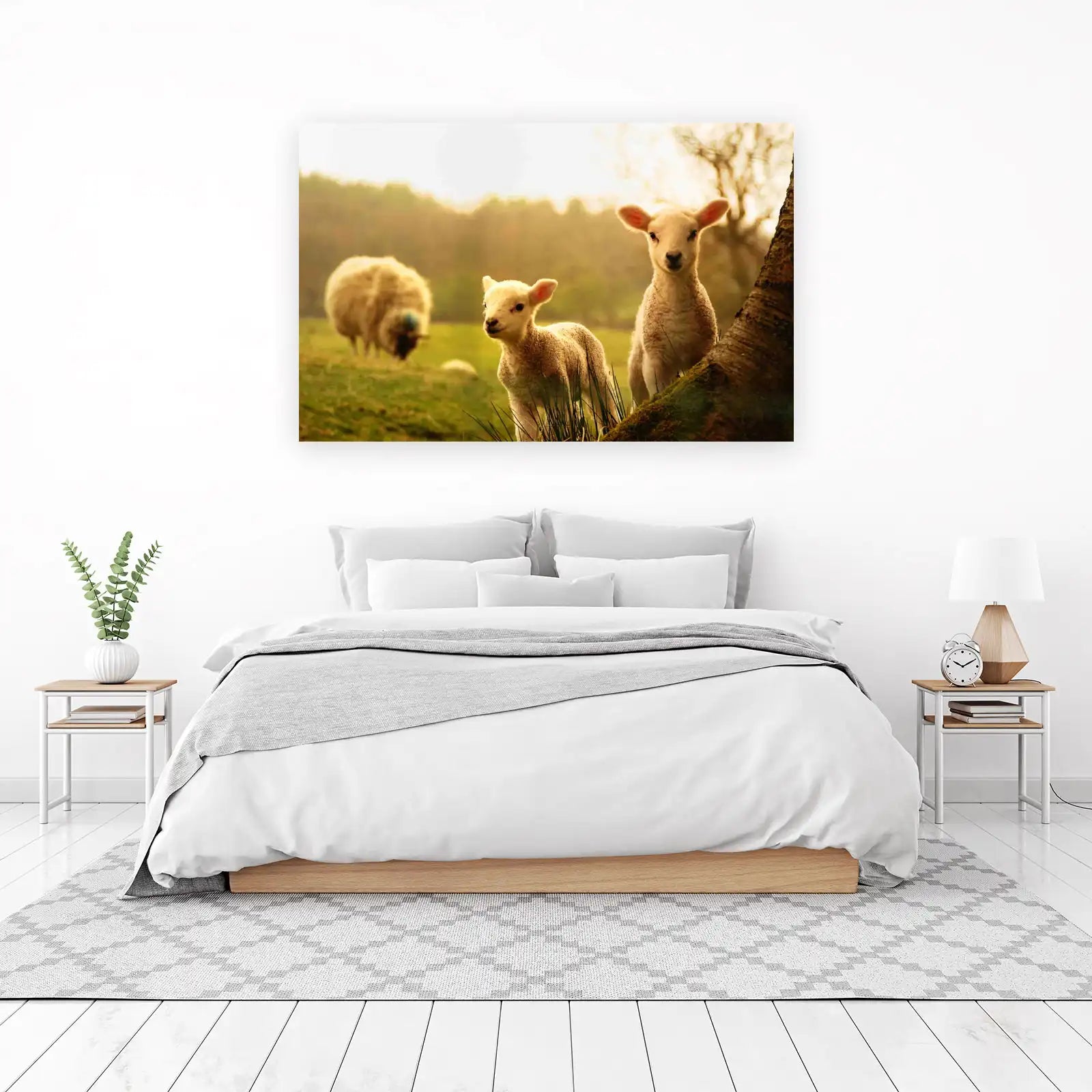 Adorable Lambs in Golden Light Wall Art