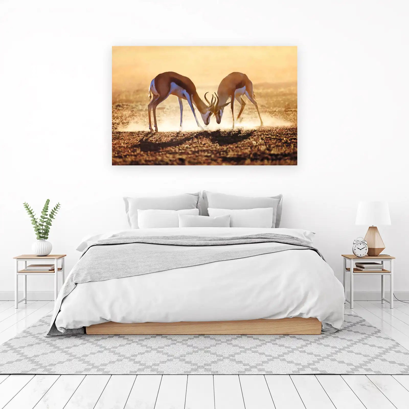 Wild Springbok Duel African Safari Wall Art