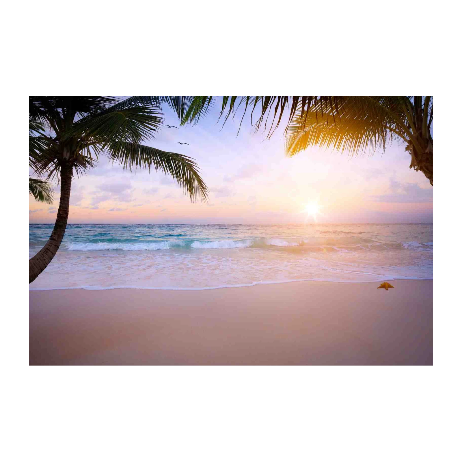Serene Tropical Beach Sunset Wall Art