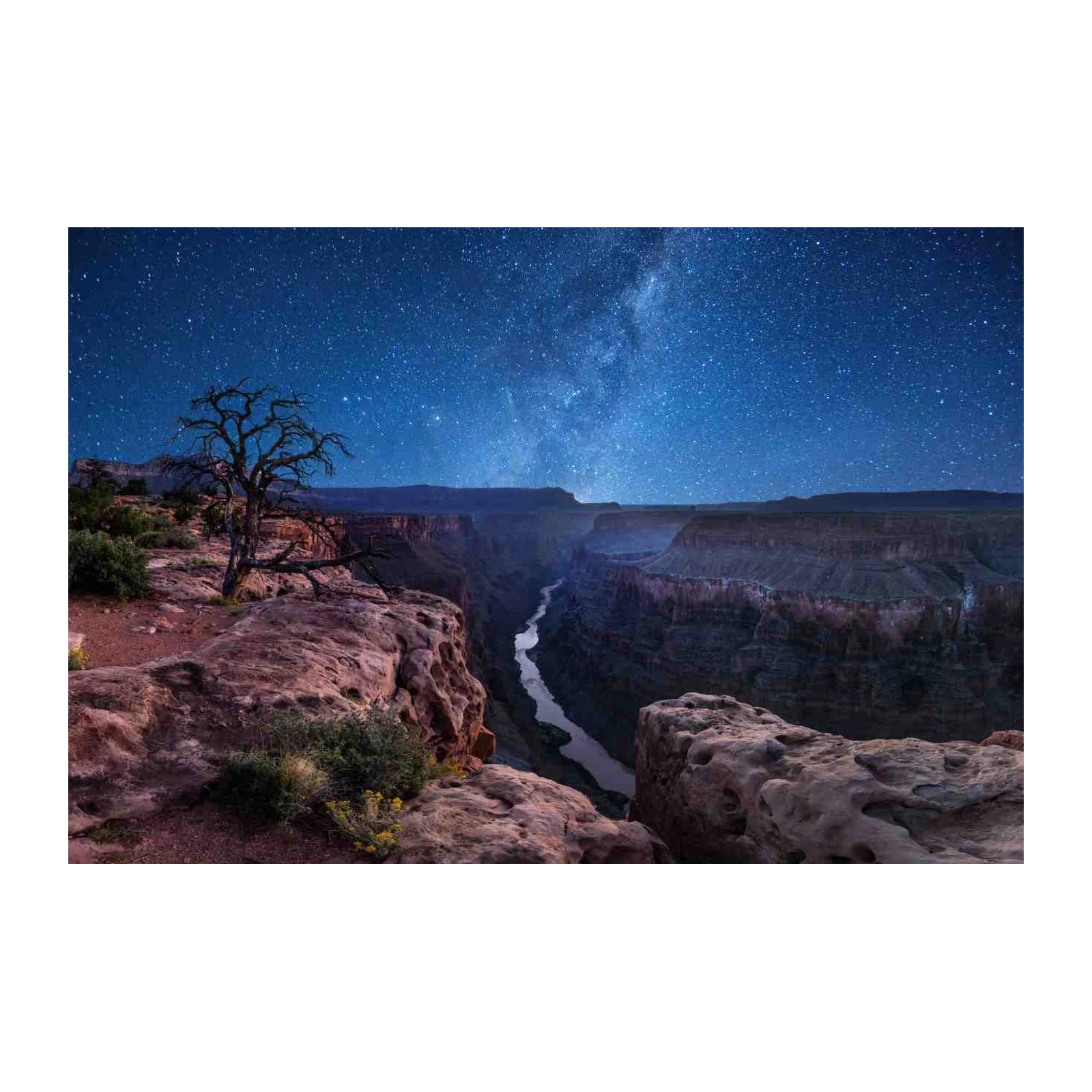 Grand Canyon Starry Night Wall Art