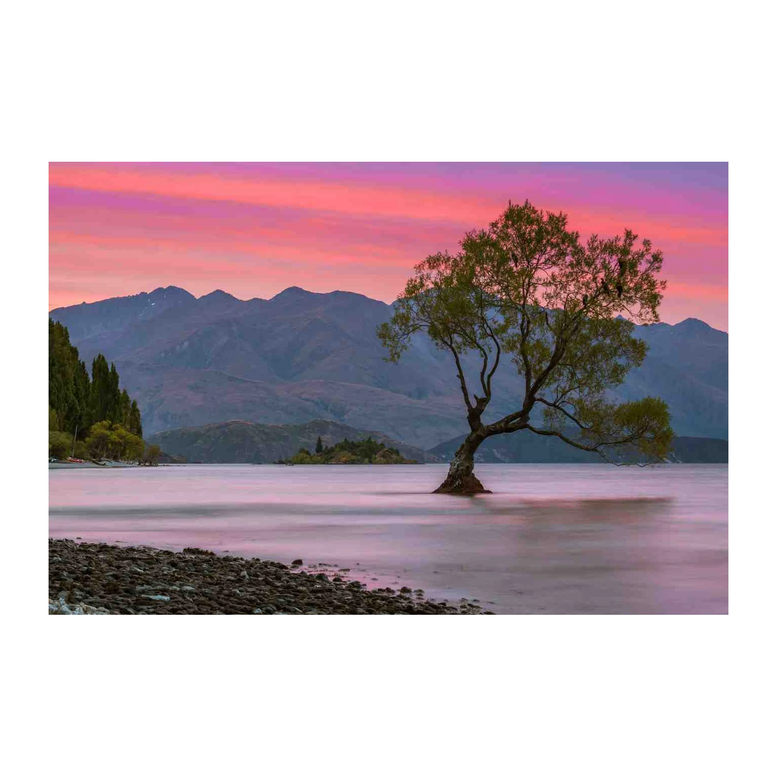 Serene Wanaka Tree Lake Sunset Wall Art