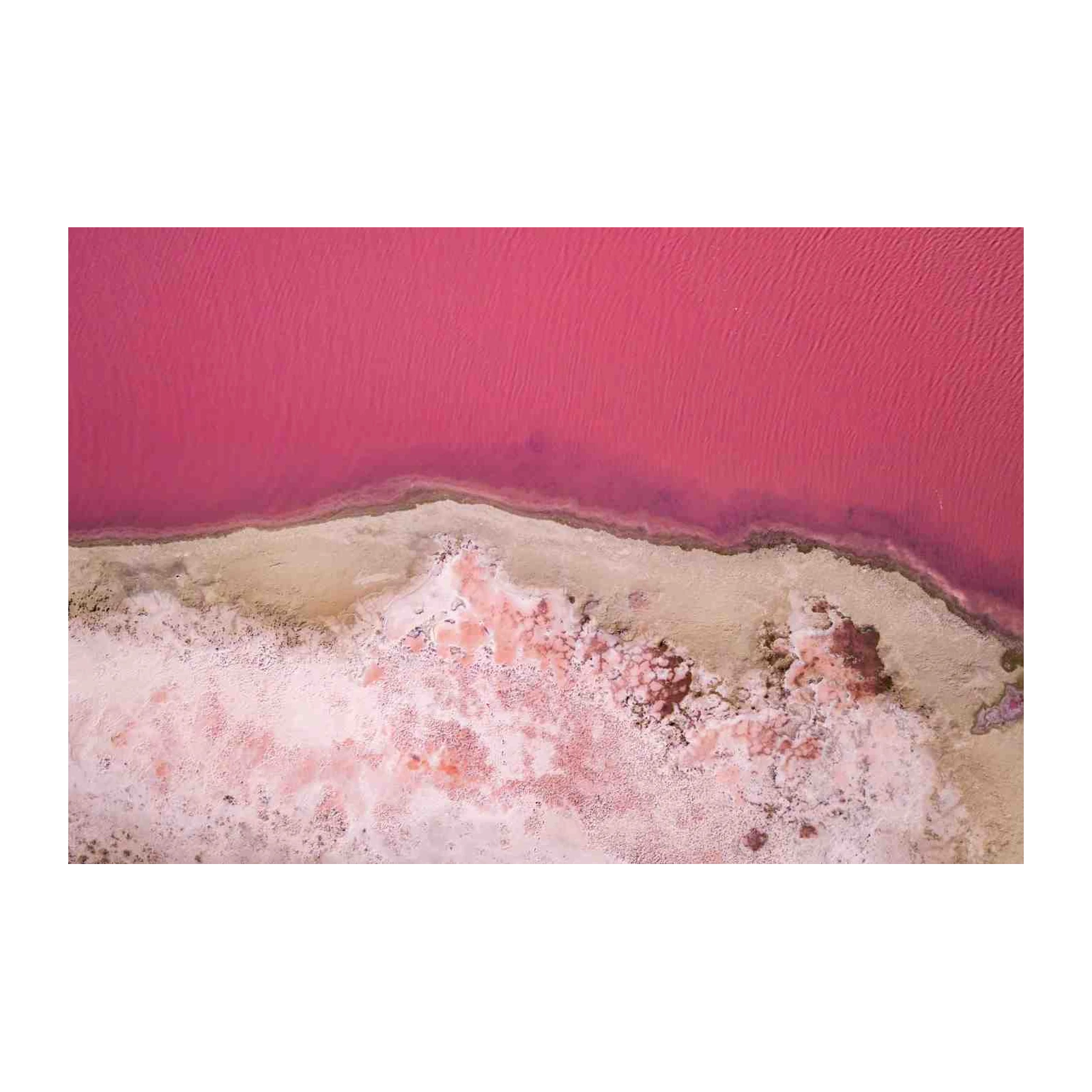 Vibrant Pink Salt Lake Aerial Wall Art