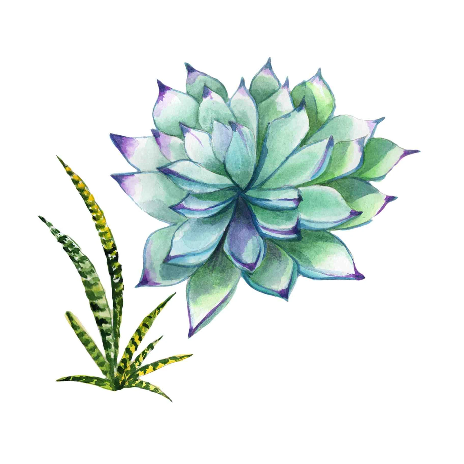 Ethereal Succulent & Snake Plant Watercolor Wall Art
