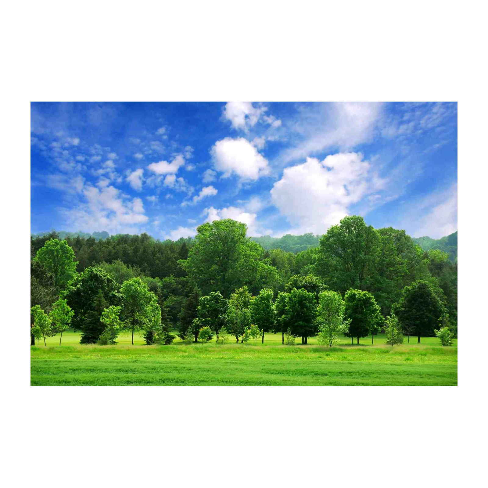 Vibrant Green Forest Landscape Wall Art