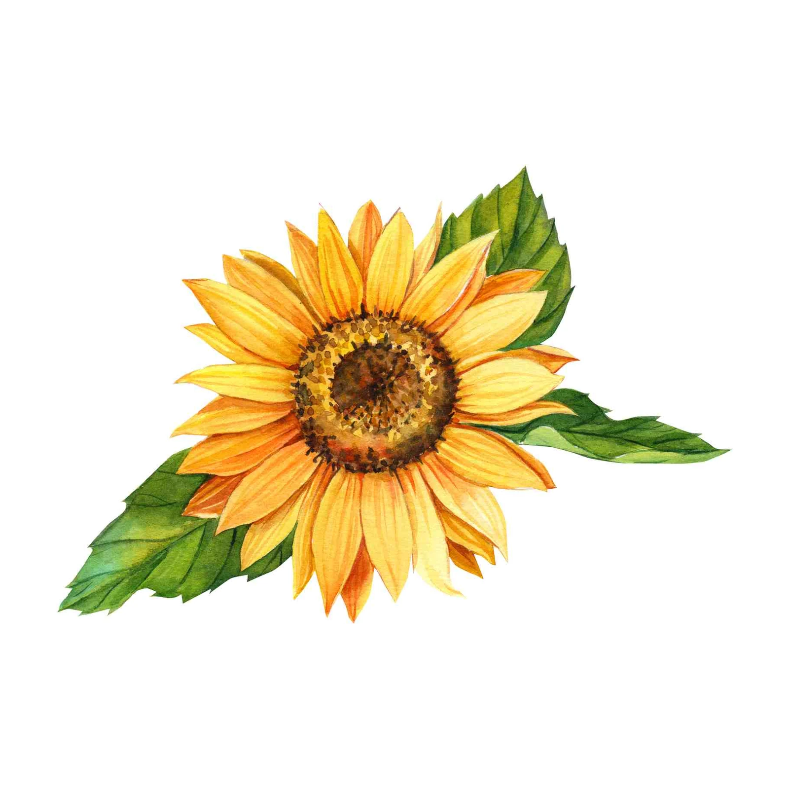 Vibrant Sunflower Watercolor Wall Art