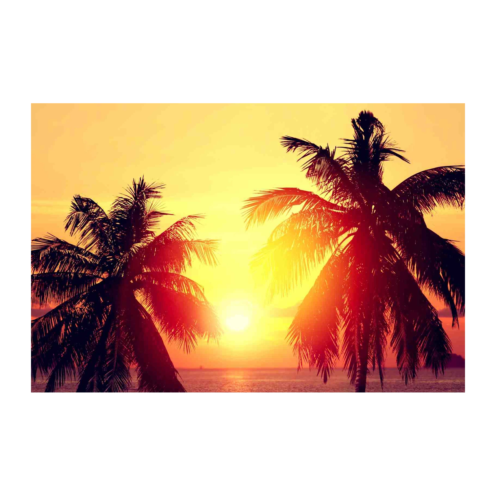 Tropical Sunset Palm Trees Wall Art