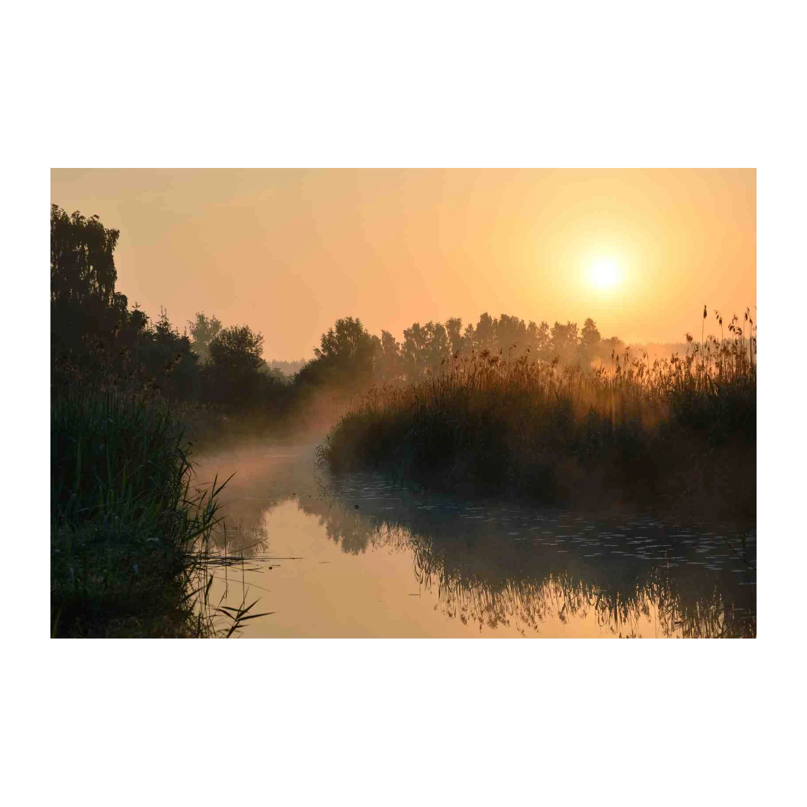 Misty Sunrise River Landscape Wall Art