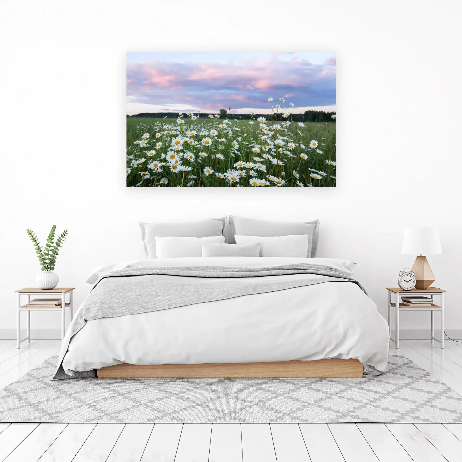 Daisies in Sunset Field Wall Art