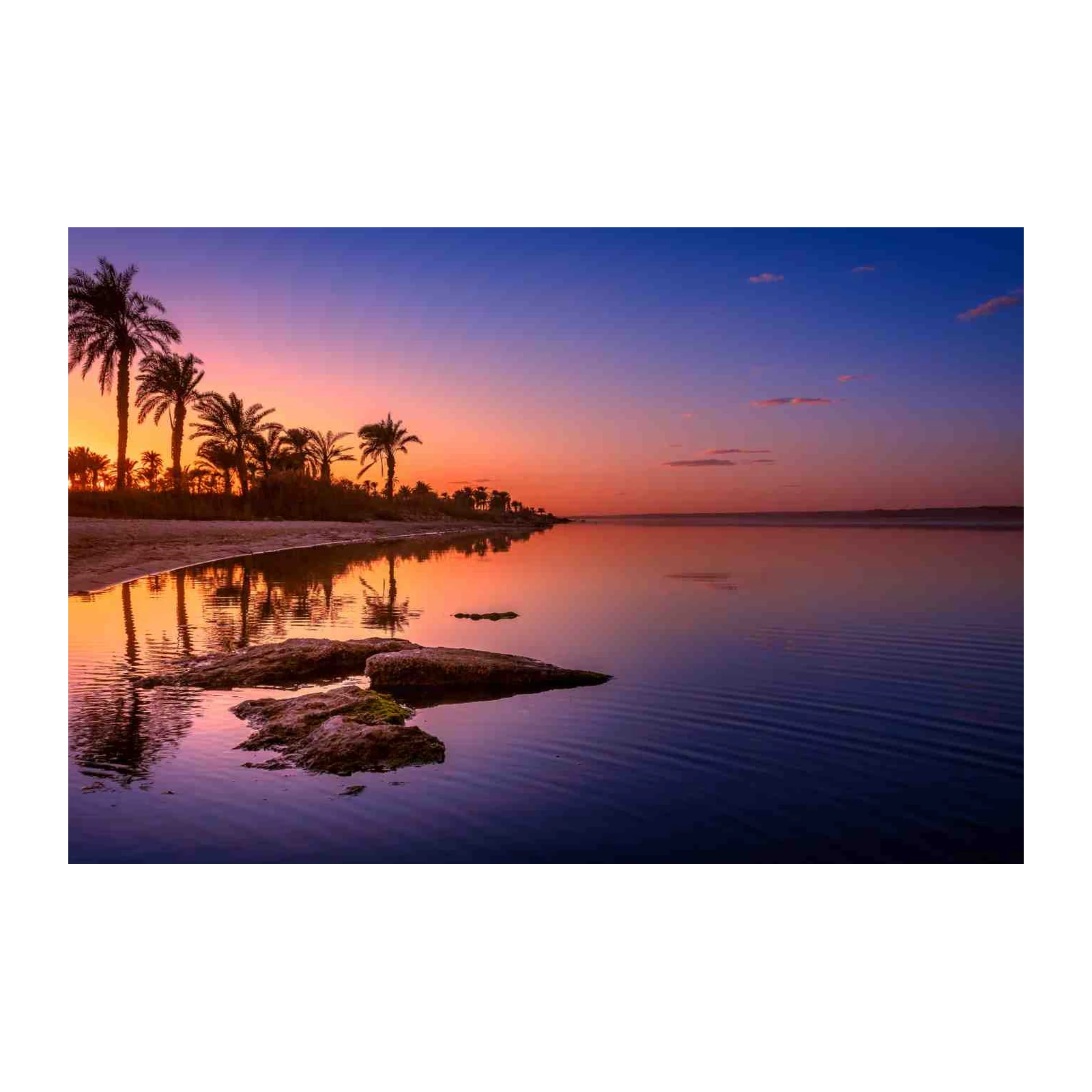 Serene Sunset Palm Oasis Wall Art