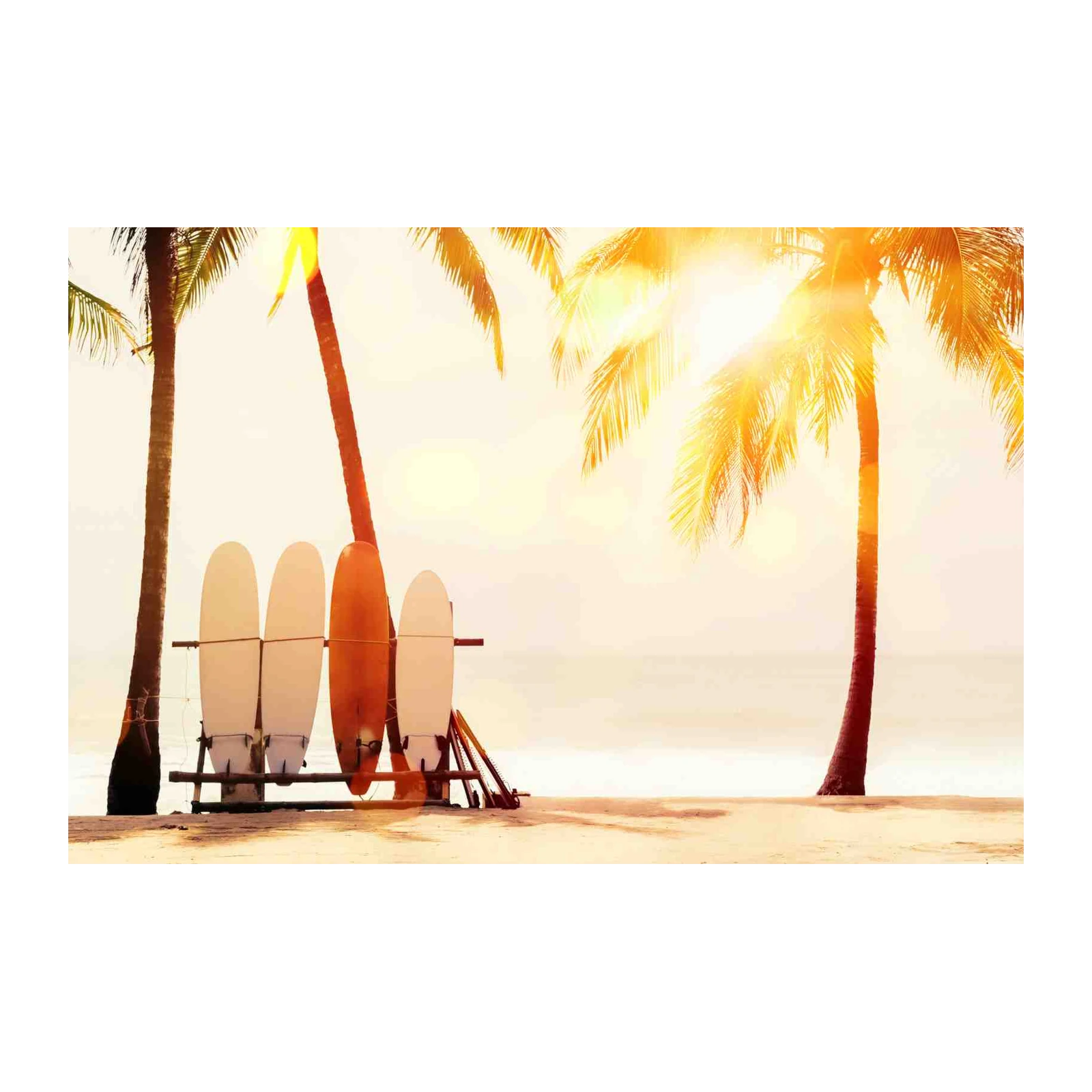 Sunny Beach Surfboards Palm Tree Wall Art