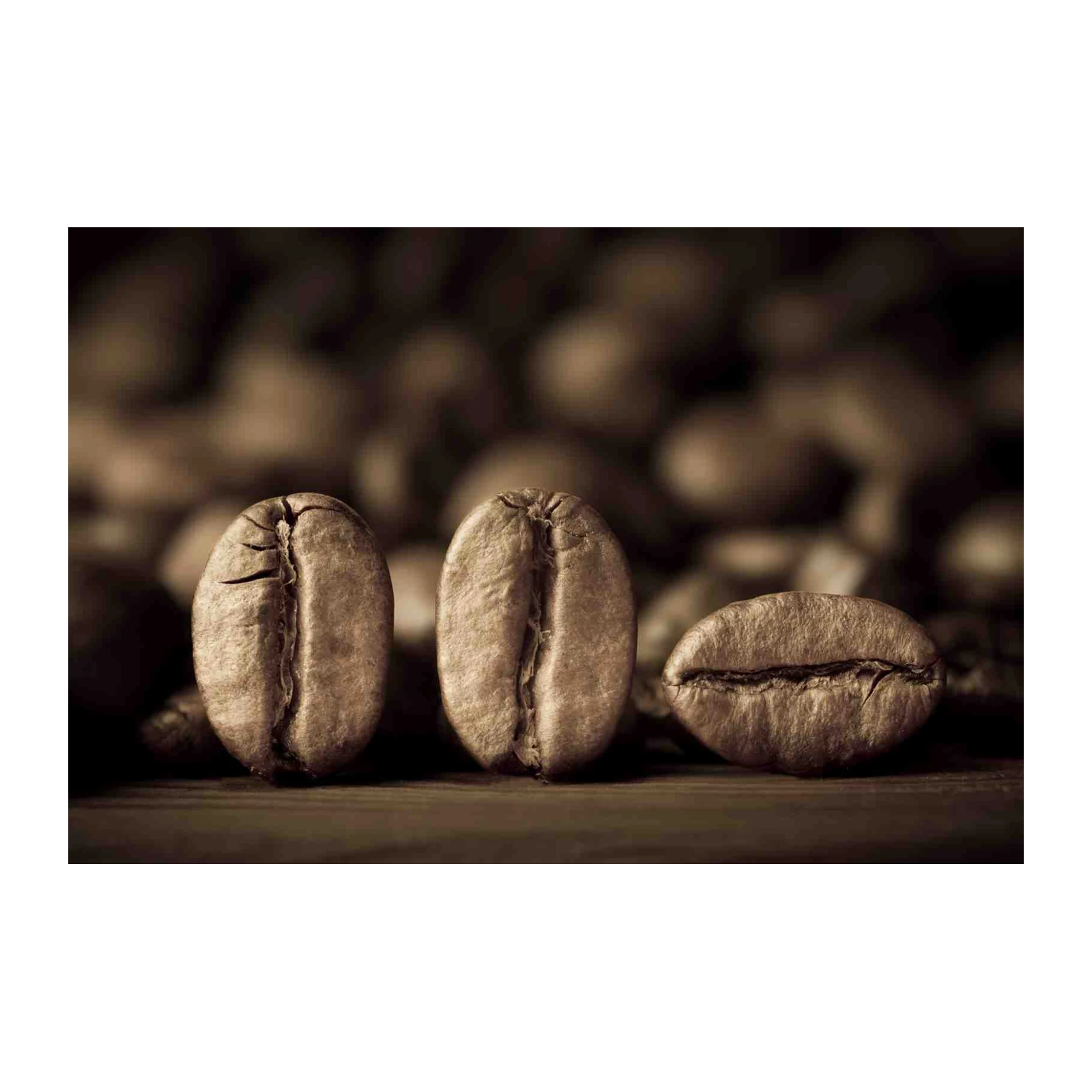 Artistic Coffee Beans Close-Up Wall Art
