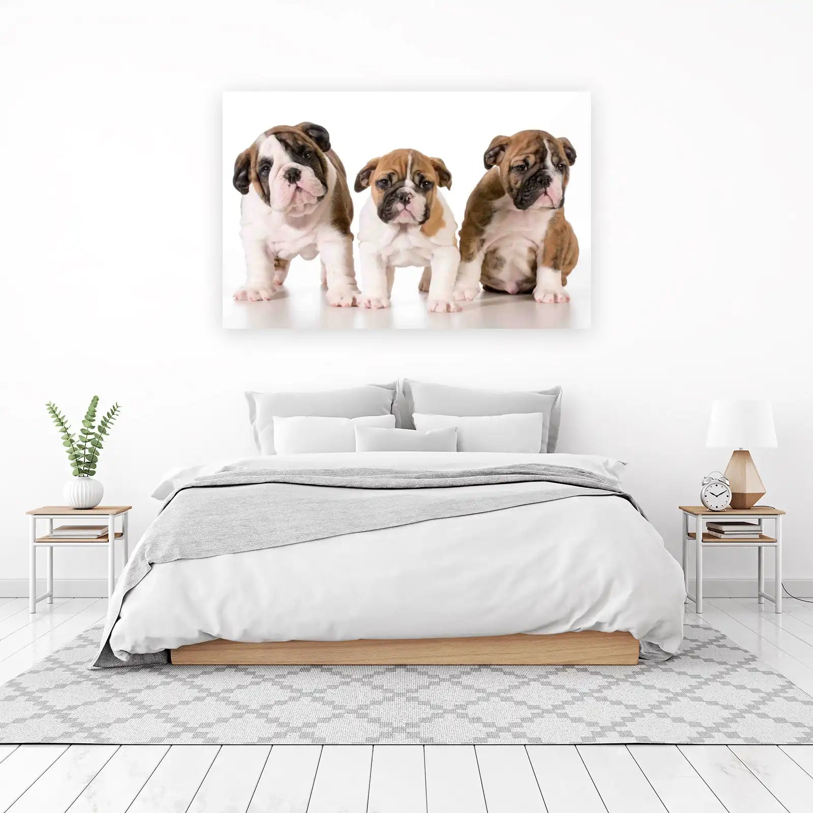 Adorable Bulldog Puppies Trio Wall Art