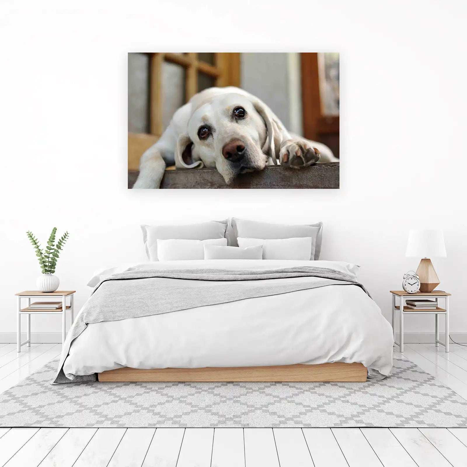 Heartwarming Labrador Portrait Wall Art