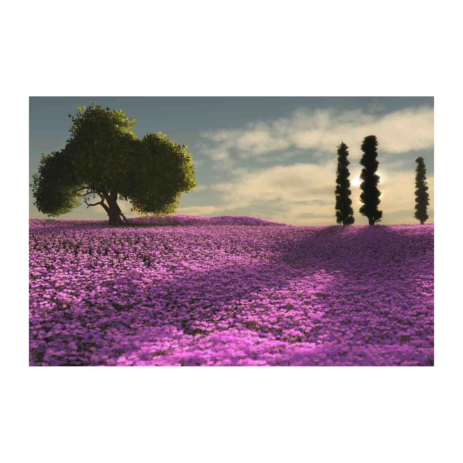 Serene Lavender Field Landscape Wall Art