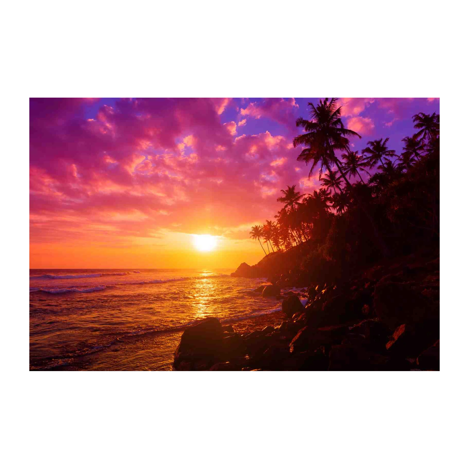 Tropical Sunset Palm Trees Wall Art