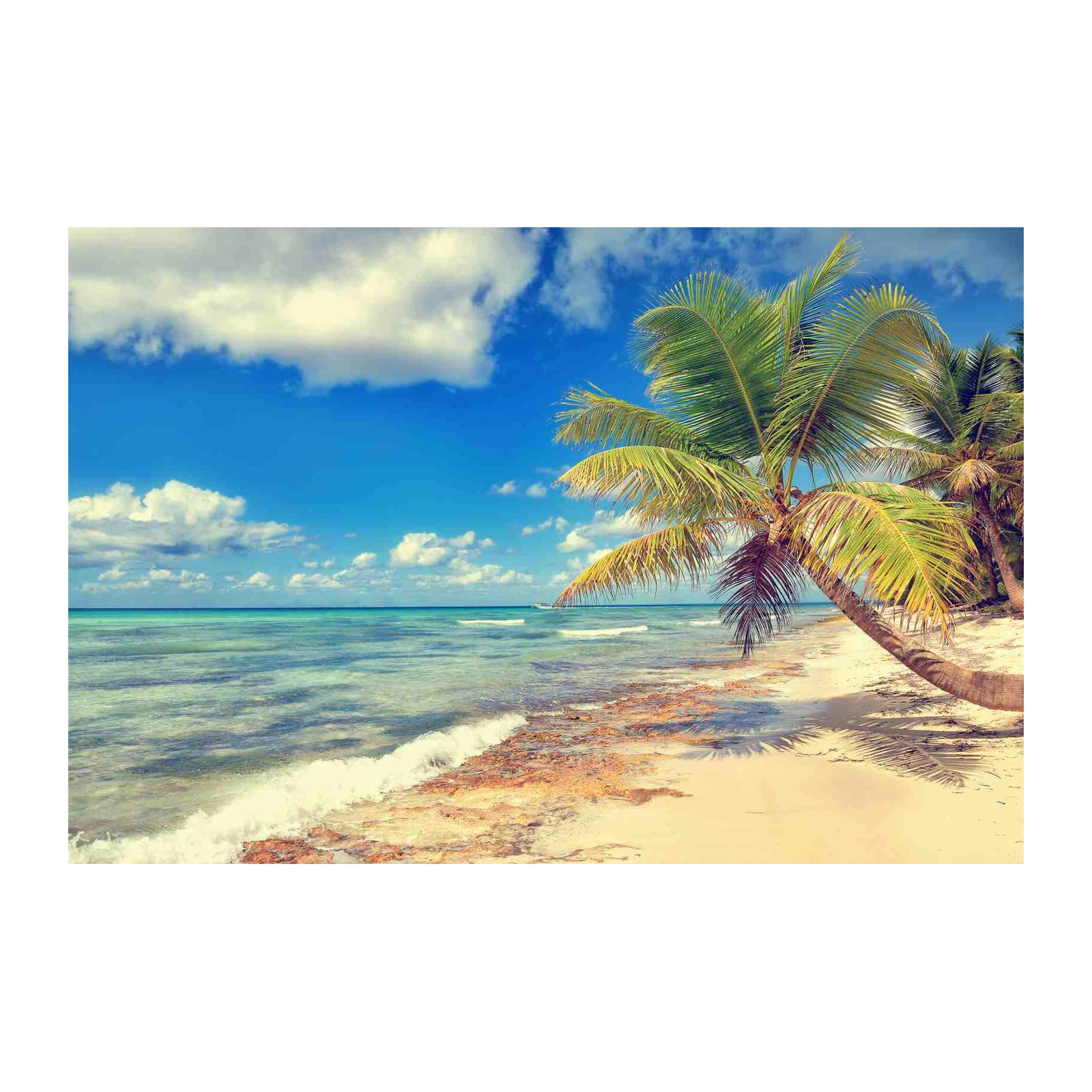 Tropical Beach Palm Tree Serenity Wall Art