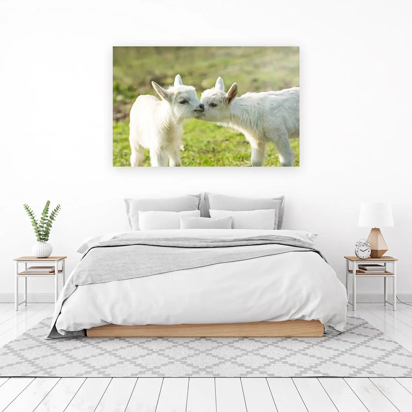 Adorable Baby Goats Kissing Wall Art