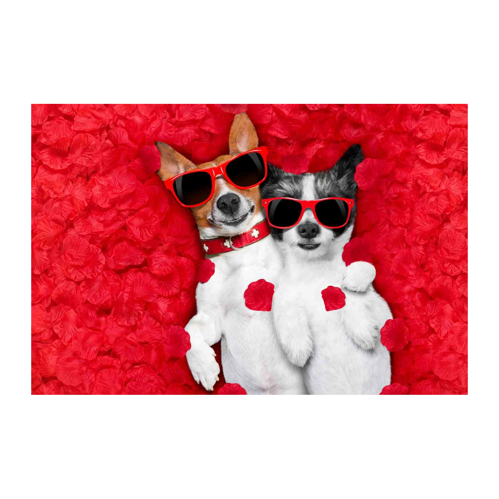 Cool Dog Duo Valentine's Day Wall Art