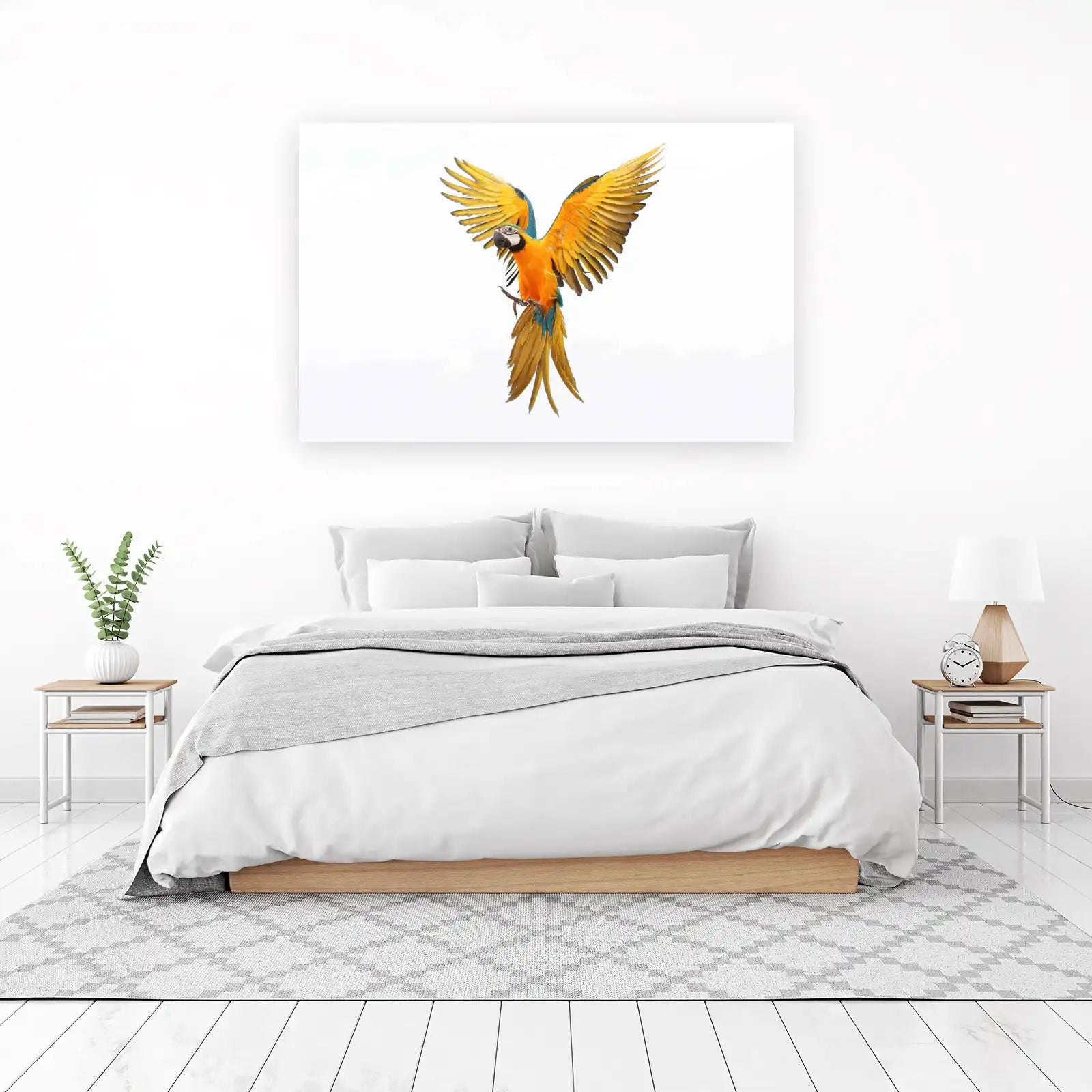 Vibrant Macaw in Flight Wall Art