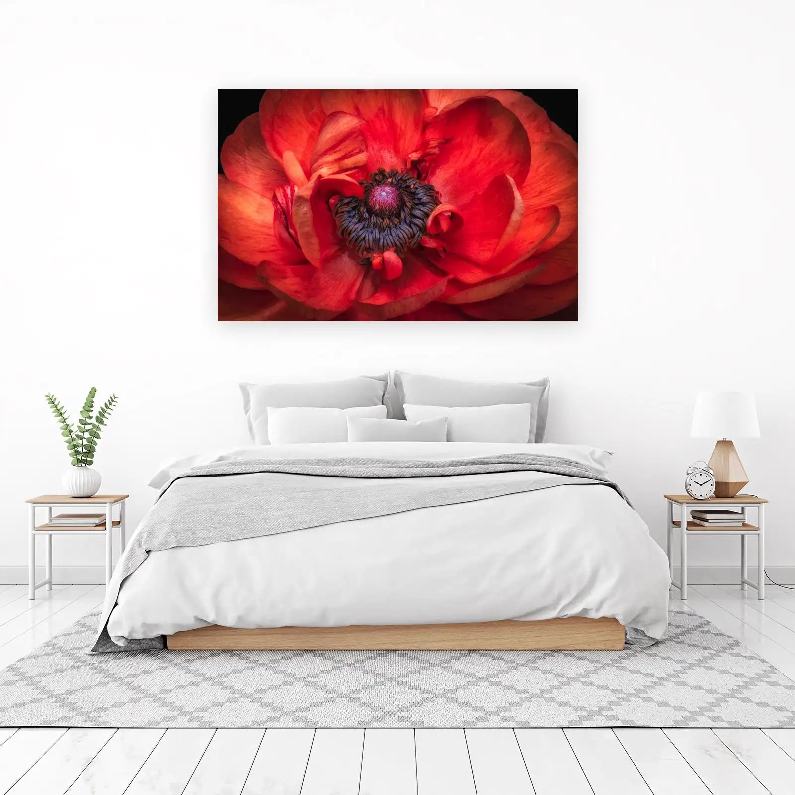 Vibrant Red Ranunculus Macro Wall Art