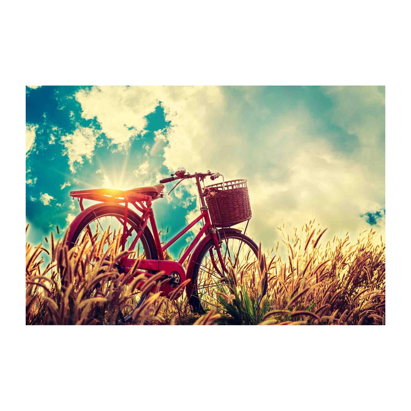 Vintage Bicycle Field Landscape Wall Art