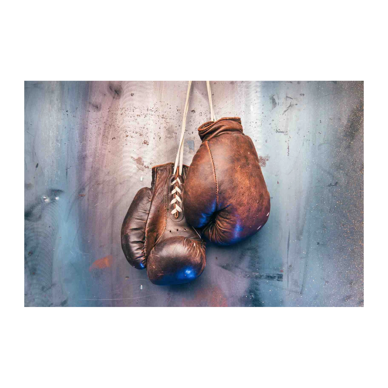 Vintage Boxing Gloves Retro Wall Art