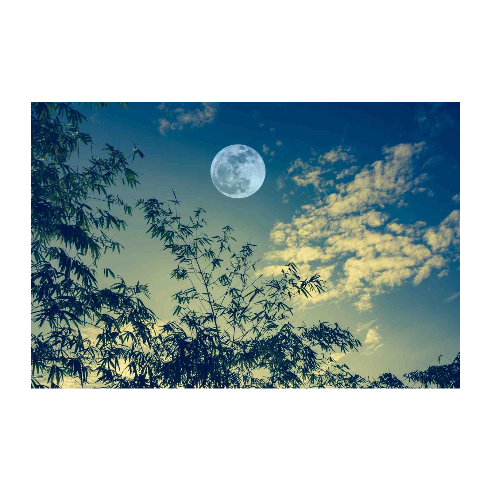 Serene Moonlit Bamboo Wall Art