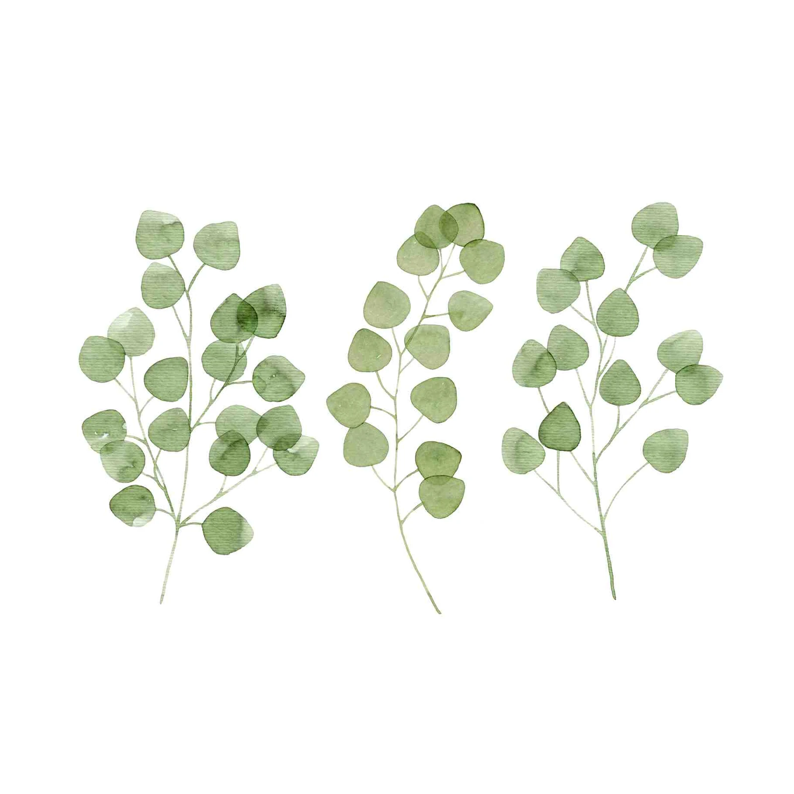 Eucalyptus Botanical Watercolor Wall Art