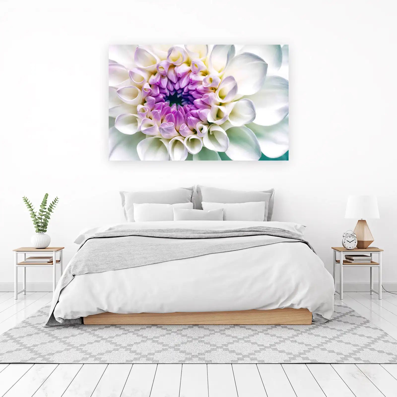 Purple & White Dahlia Close-up Wall Art