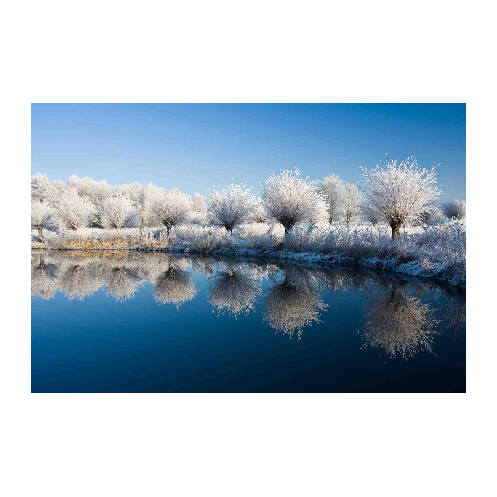 Winter Frost Trees & Lake Wall Art