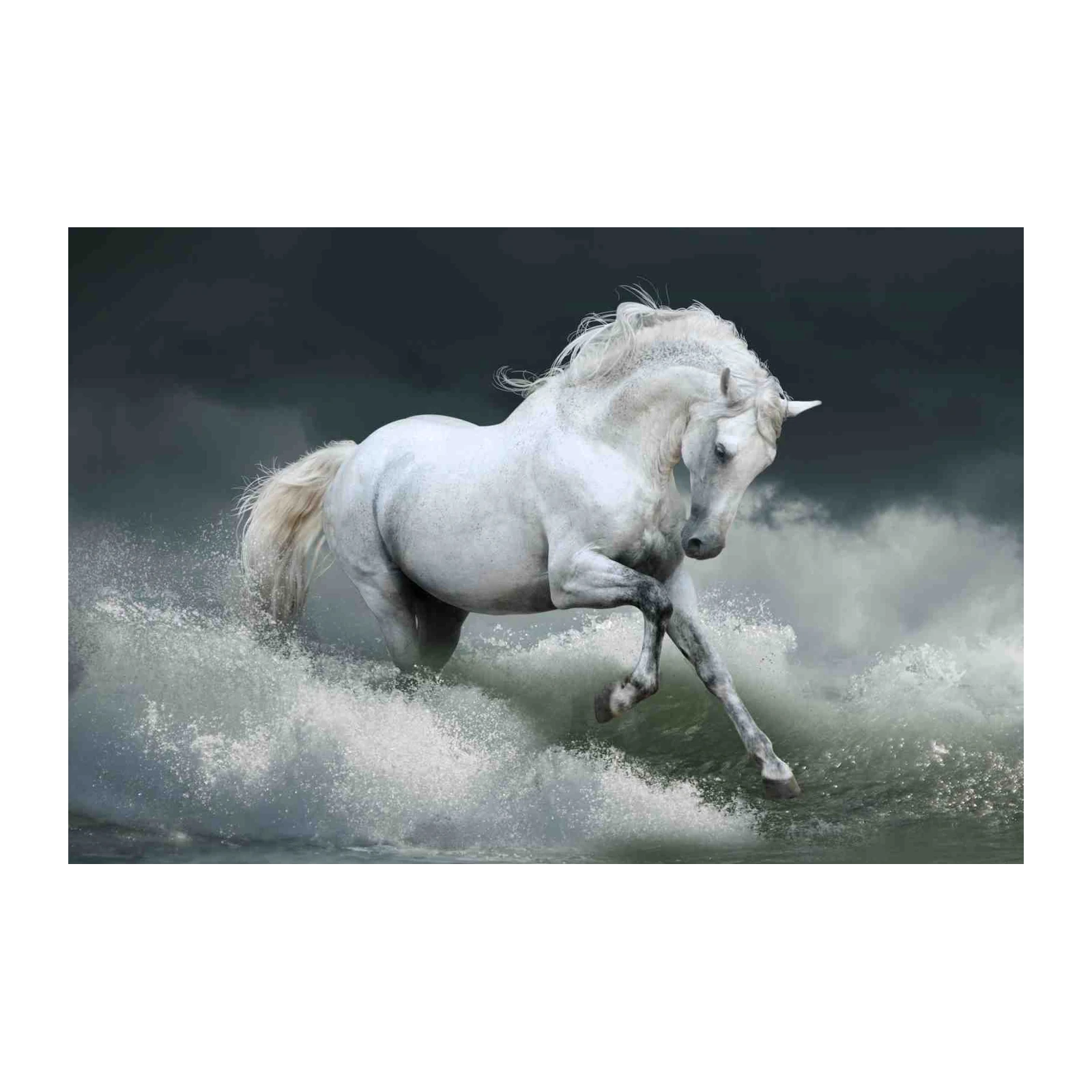 Majestic White Horse Ocean Storm Wall Art