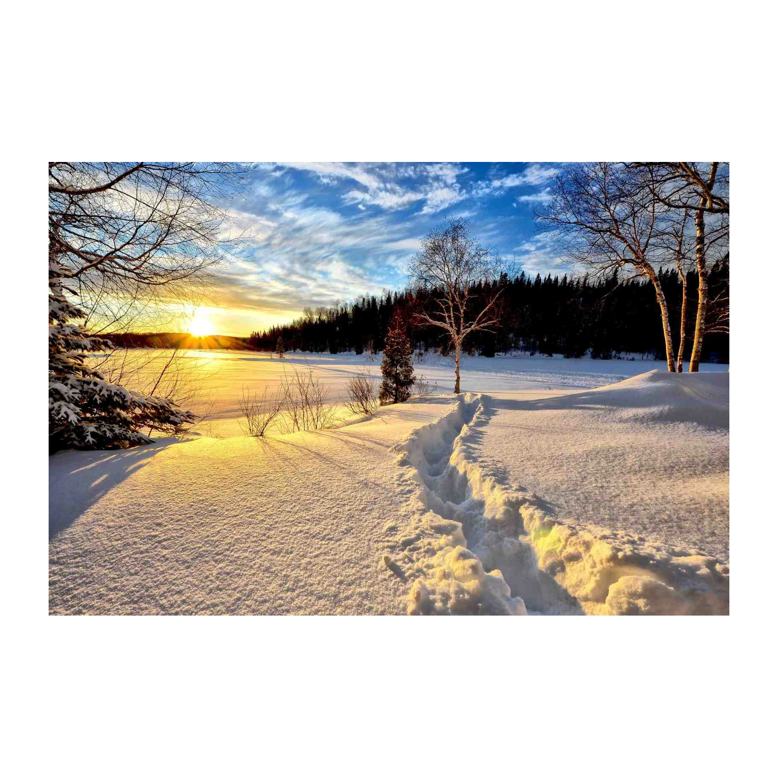 Golden Winter Sunset Snowy Path Wall Art