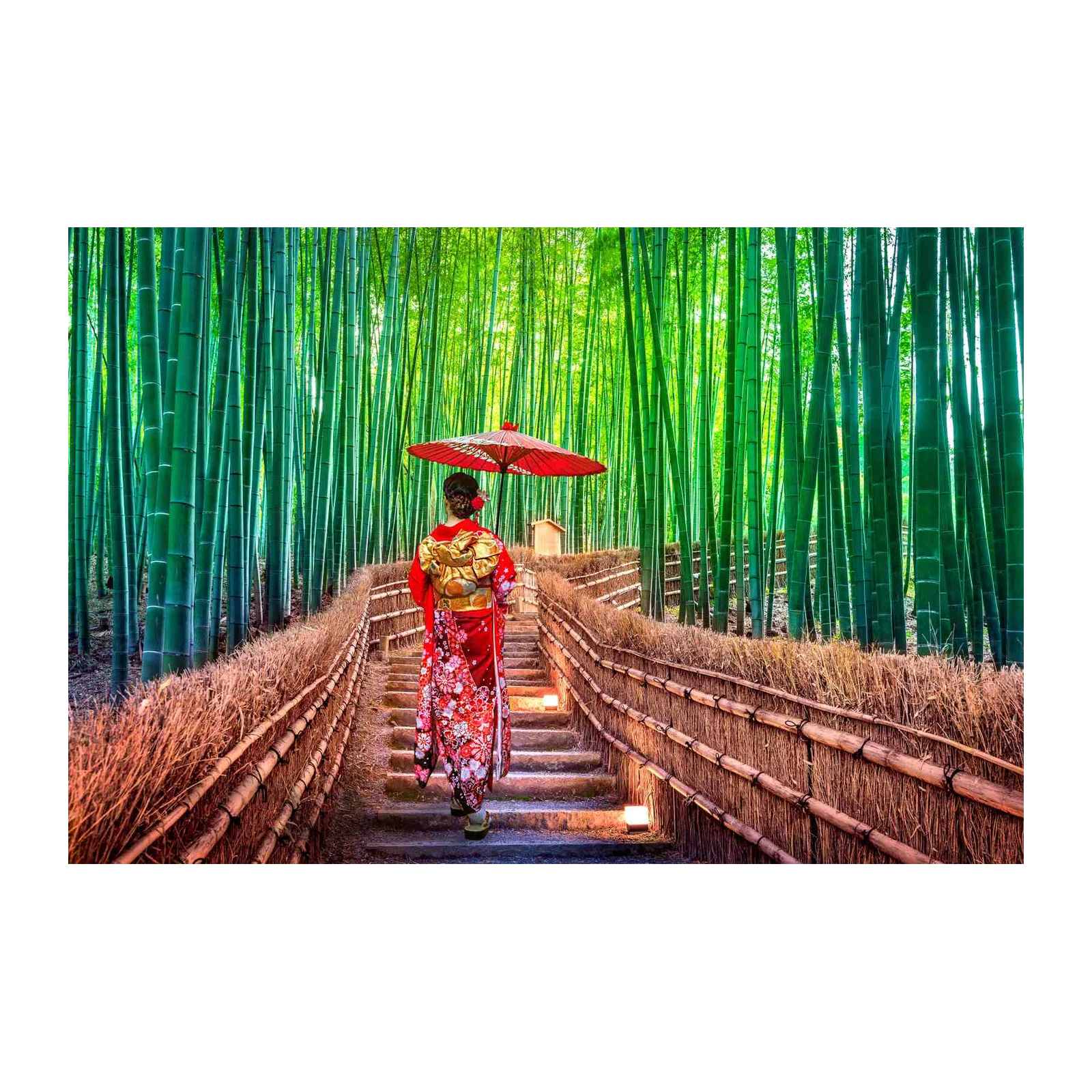 Serene Bamboo Path Geisha Kimono Wall Art