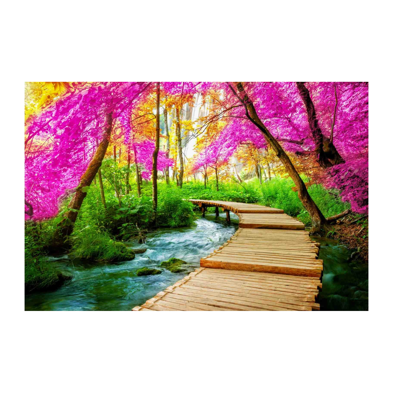 Enchanted Forest Walk Wall Art - Nature Art