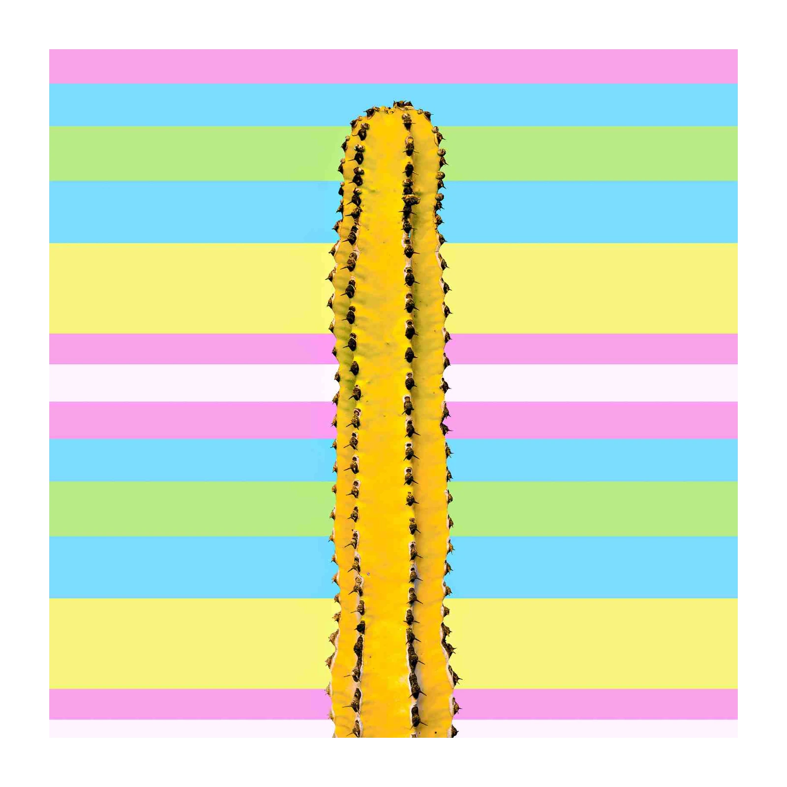 Vibrant Cactus Pop Art Wall Art | Boho Wall Art
