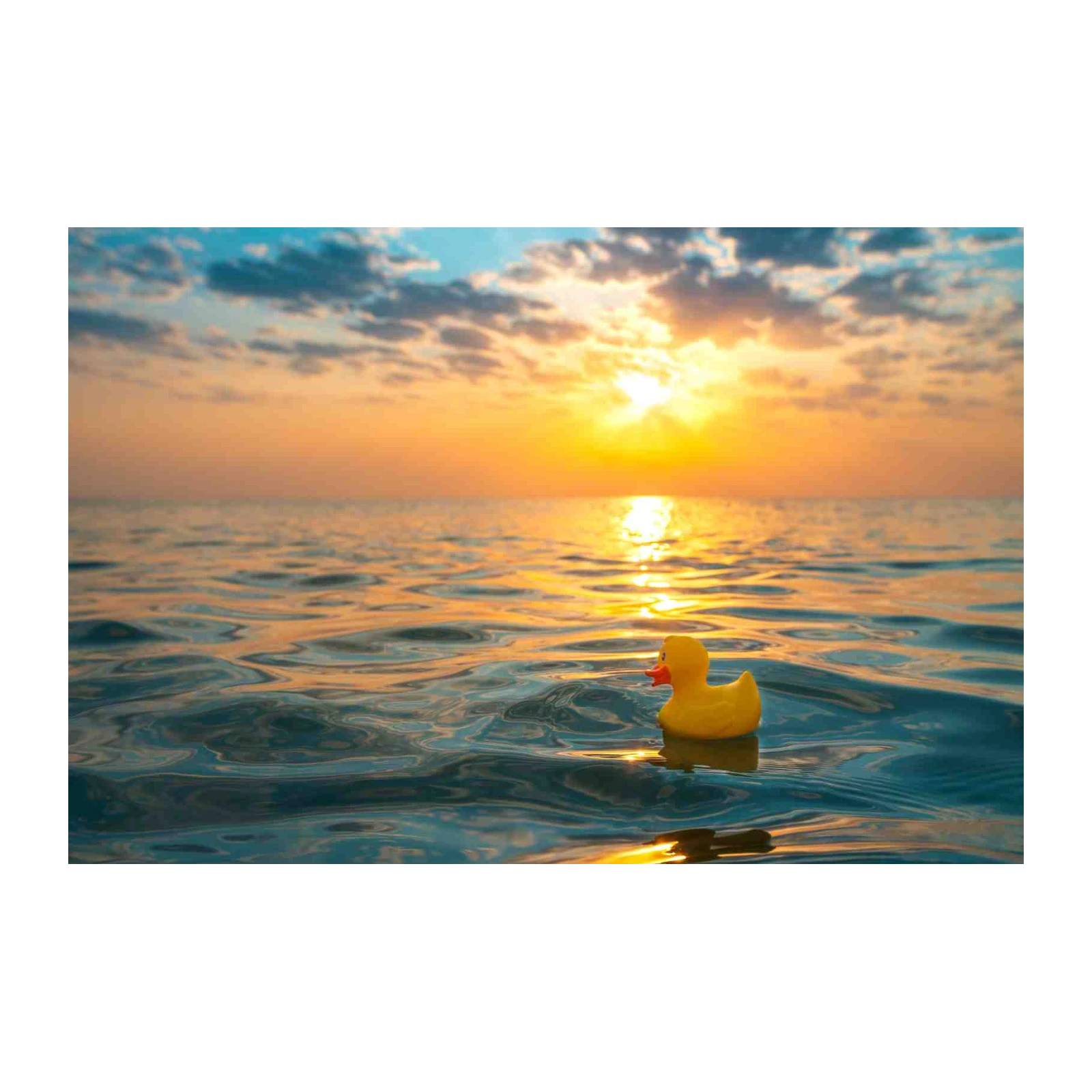 Sunny Duck Floating on Ocean Wall Art