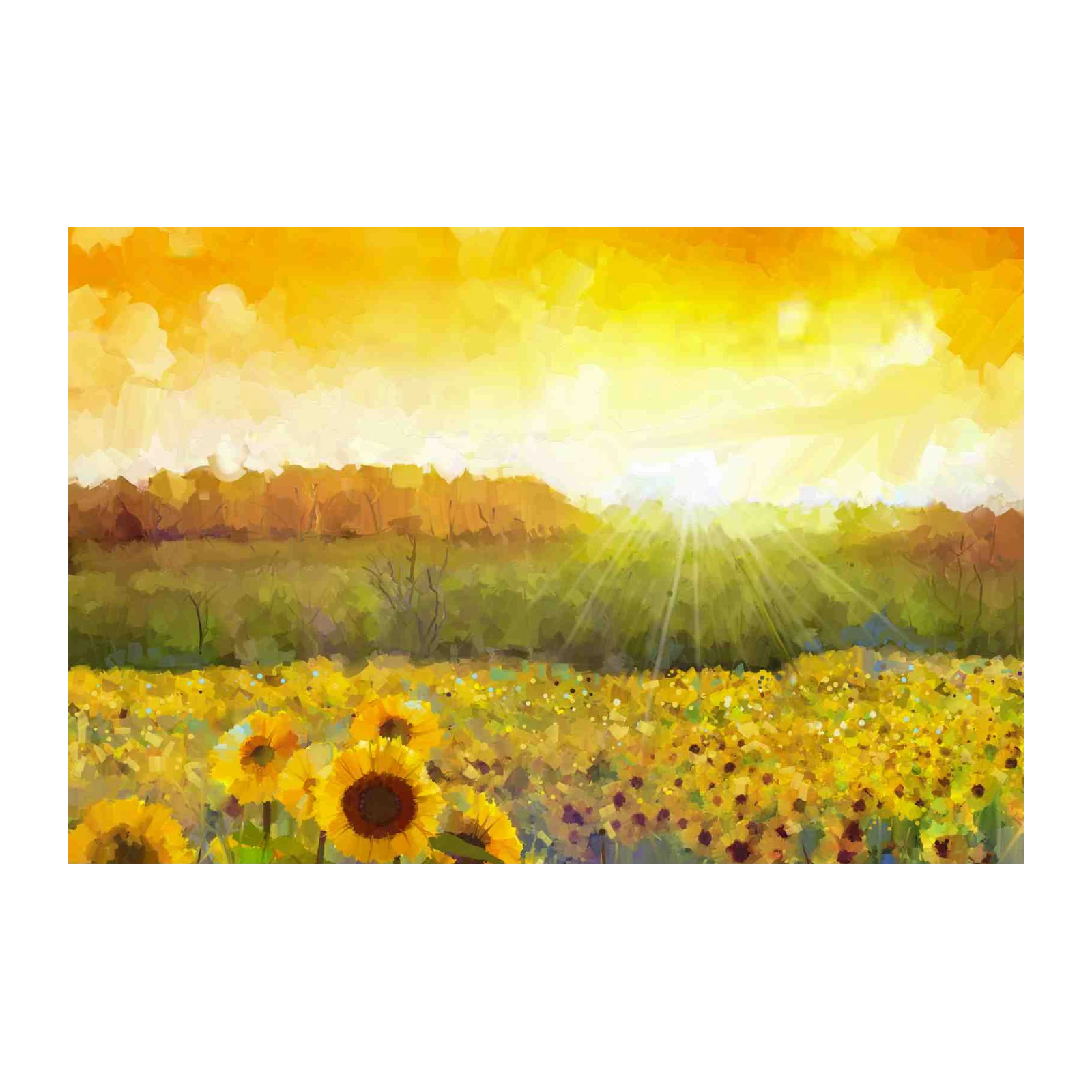 Vibrant Sunflower Field Sunrise Wall Art
