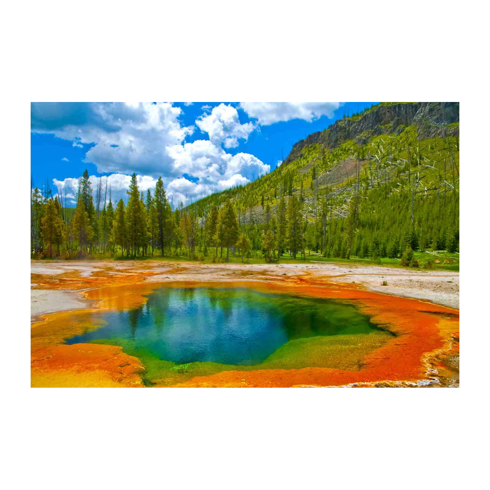 Vibrant Hot Spring Nature Wall Art