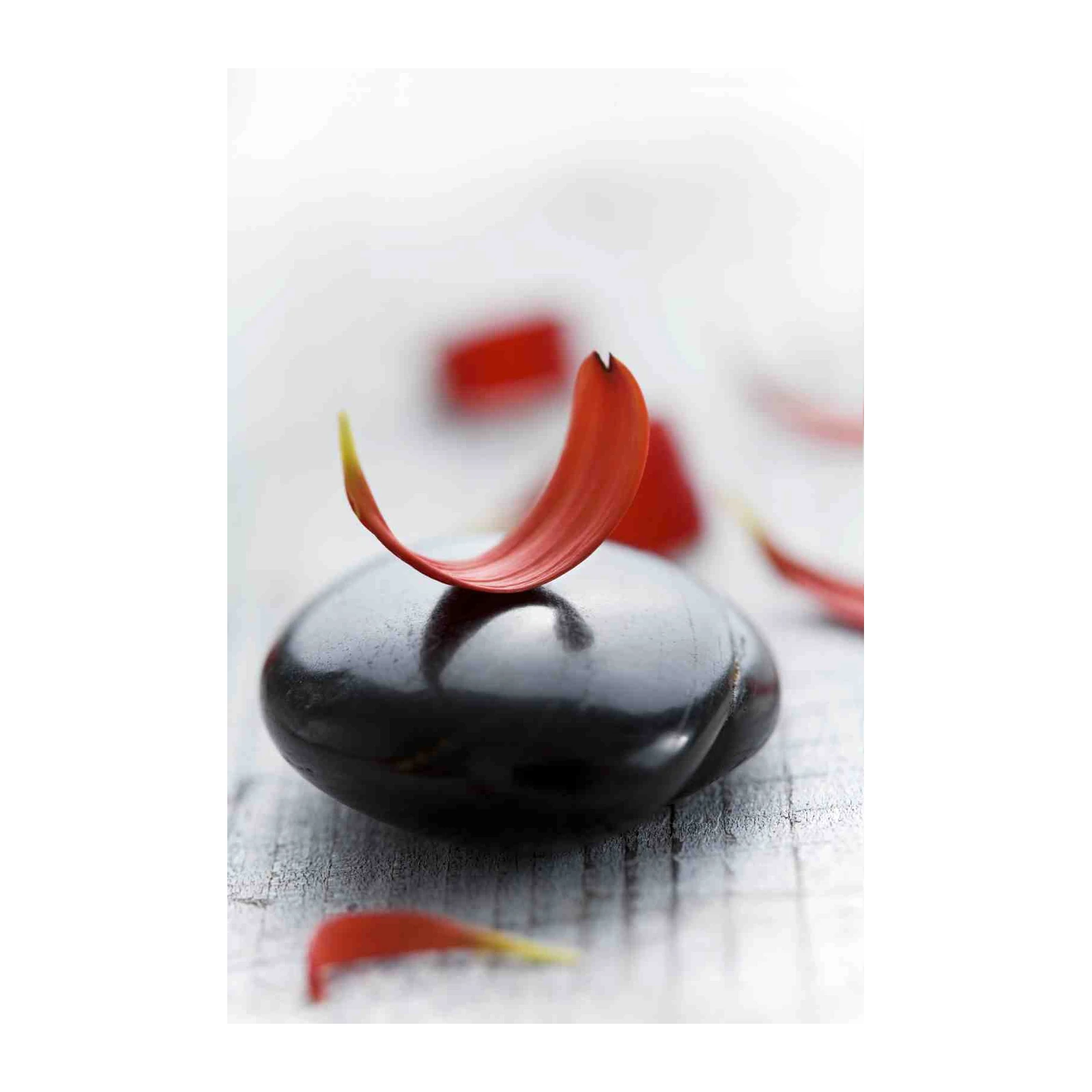 Zen Serenity Red Petal & Stone Wall Art