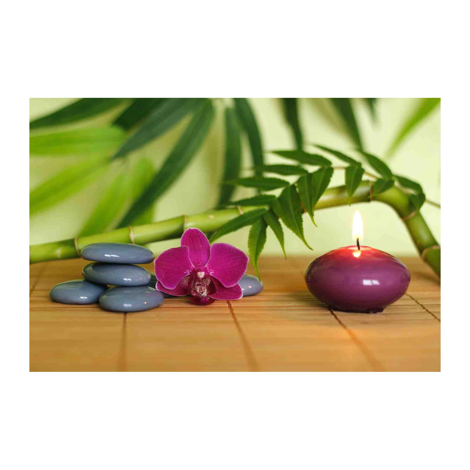 Zen Orchid & Bamboo Serenity Wall Art