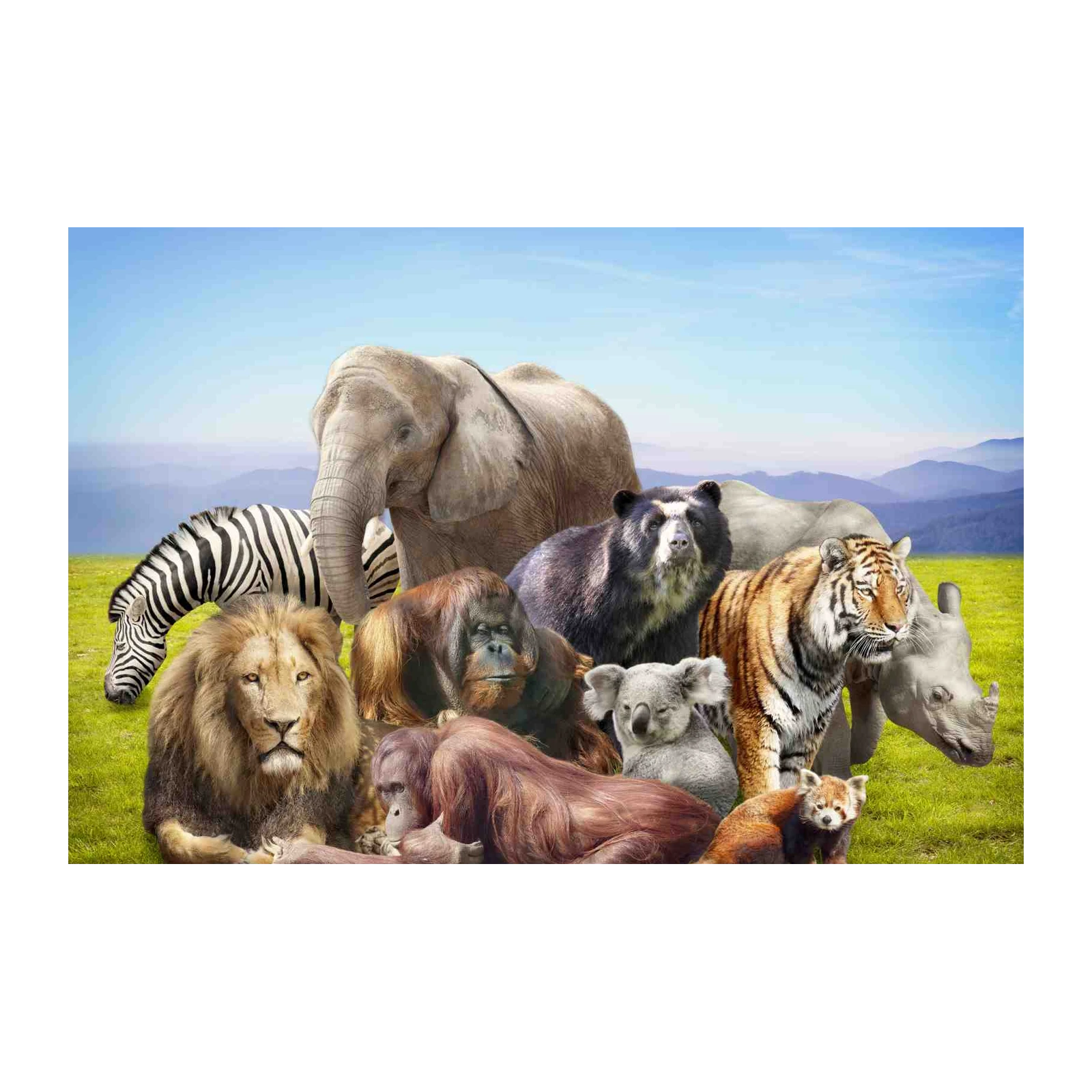 Majestic Wildlife Ensemble Wall Art