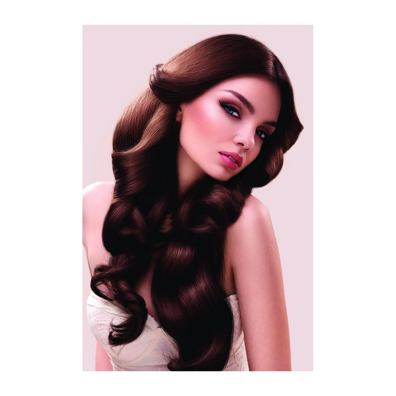 Elegant Woman's Portrait Wall Art