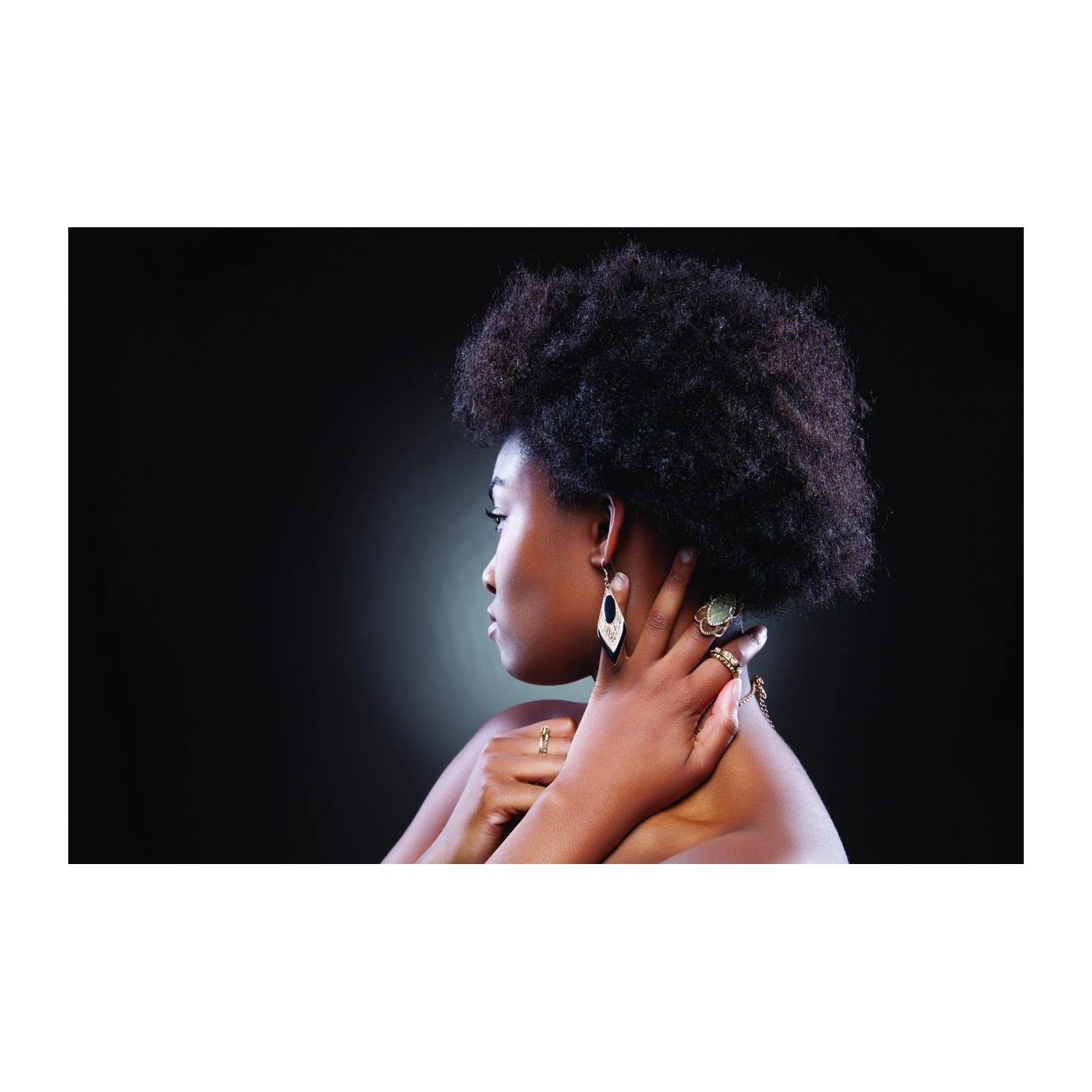 Elegant Black Woman Portrait Wall Art