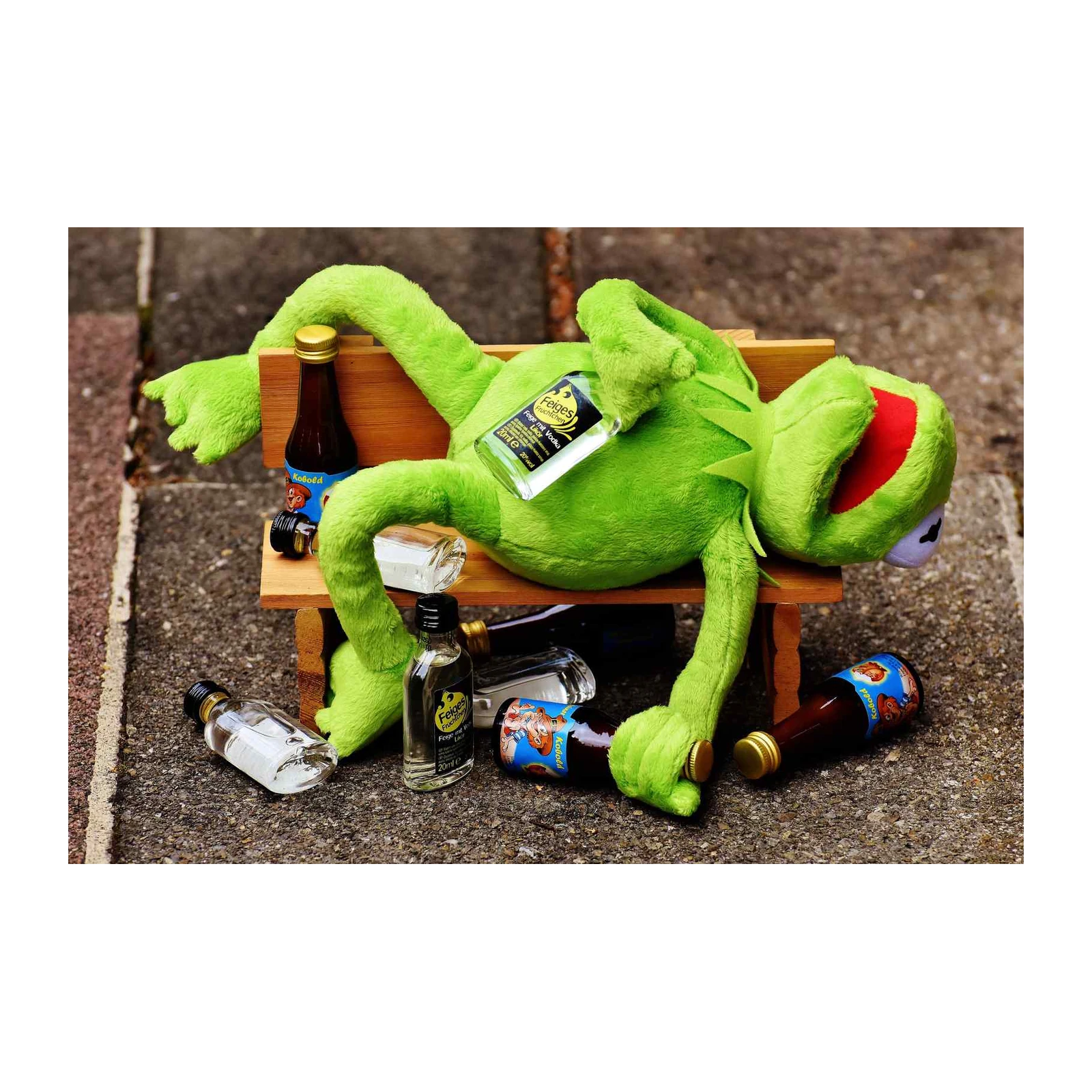 Funny Kermit After Party Wall Art