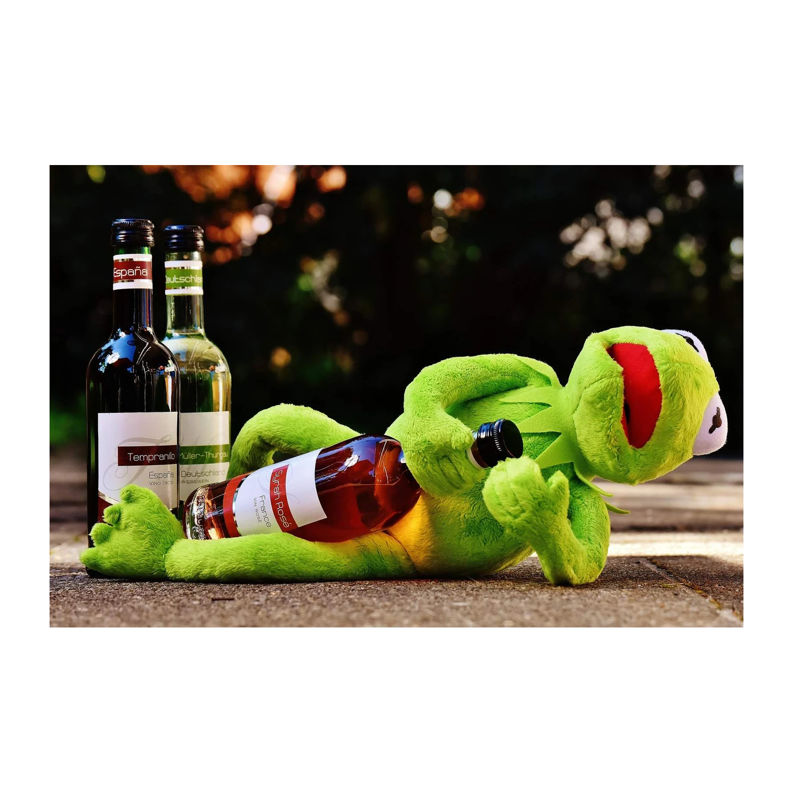 Funny Kermit Frog Wine Lover Wall Art