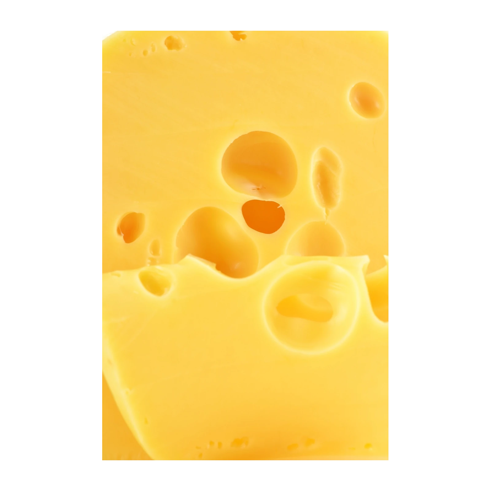 Gourmet Cheese Holes Close-Up Wall Art